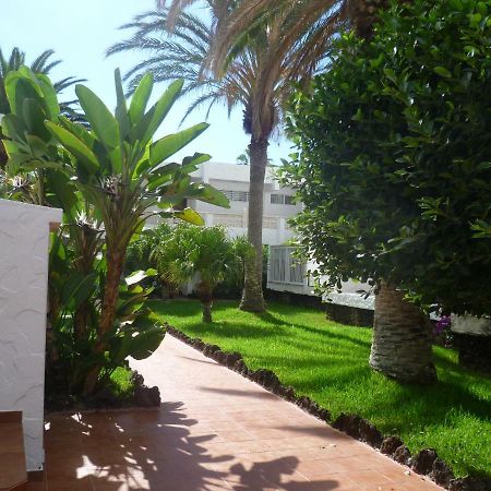 Elana Apartment With Free Wifi Costa Del Silencio Luaran gambar