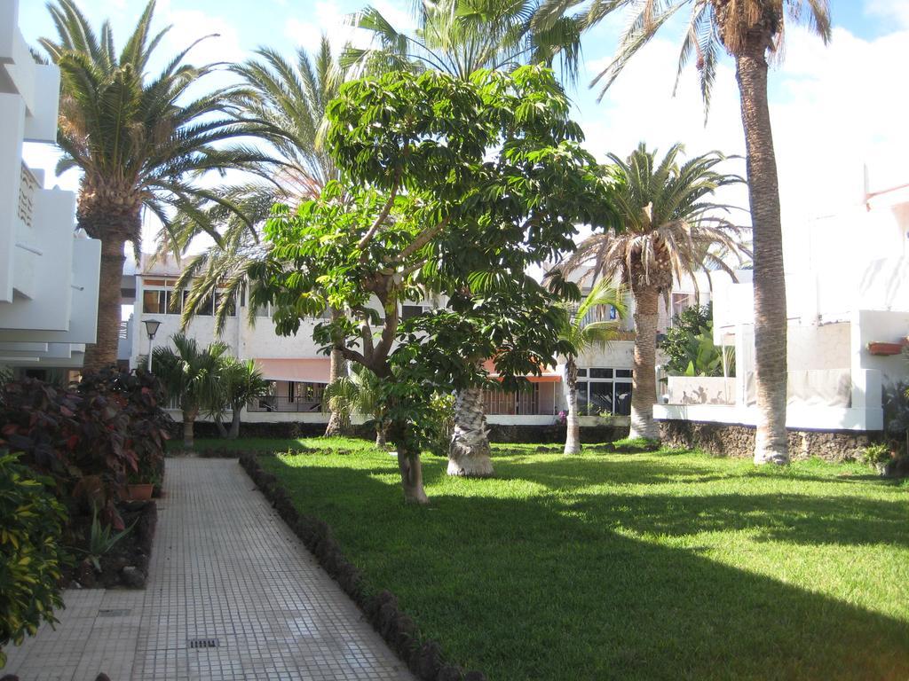 Elana Apartment With Free Wifi Costa Del Silencio Luaran gambar