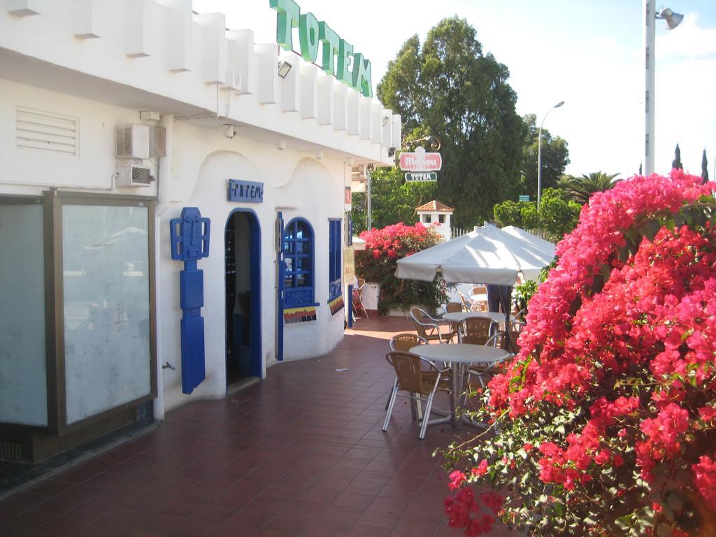 Elana Apartment With Free Wifi Costa Del Silencio Luaran gambar