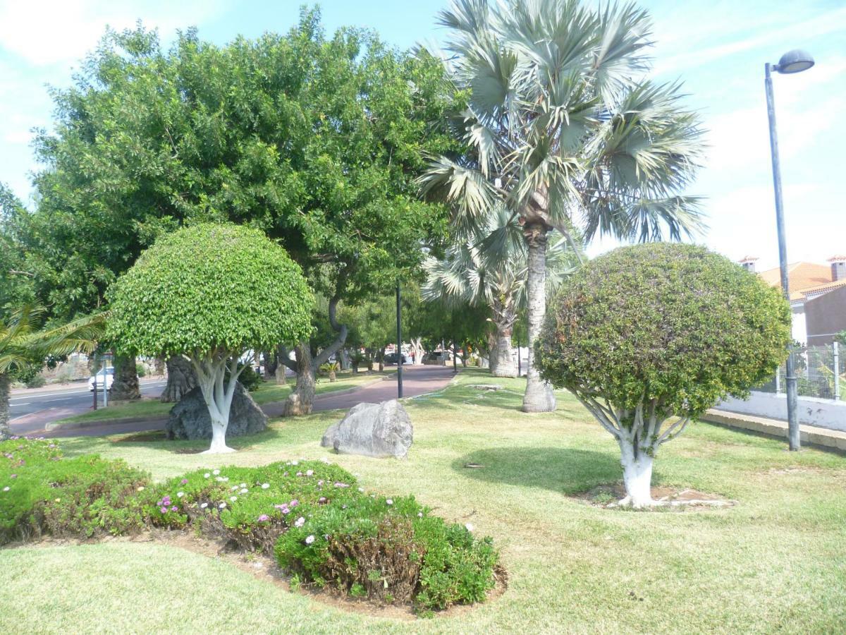 Elana Apartment With Free Wifi Costa Del Silencio Luaran gambar